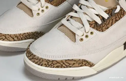 Palomino  CT8532-102  Retro Jordan 3 CT8532-102 0611